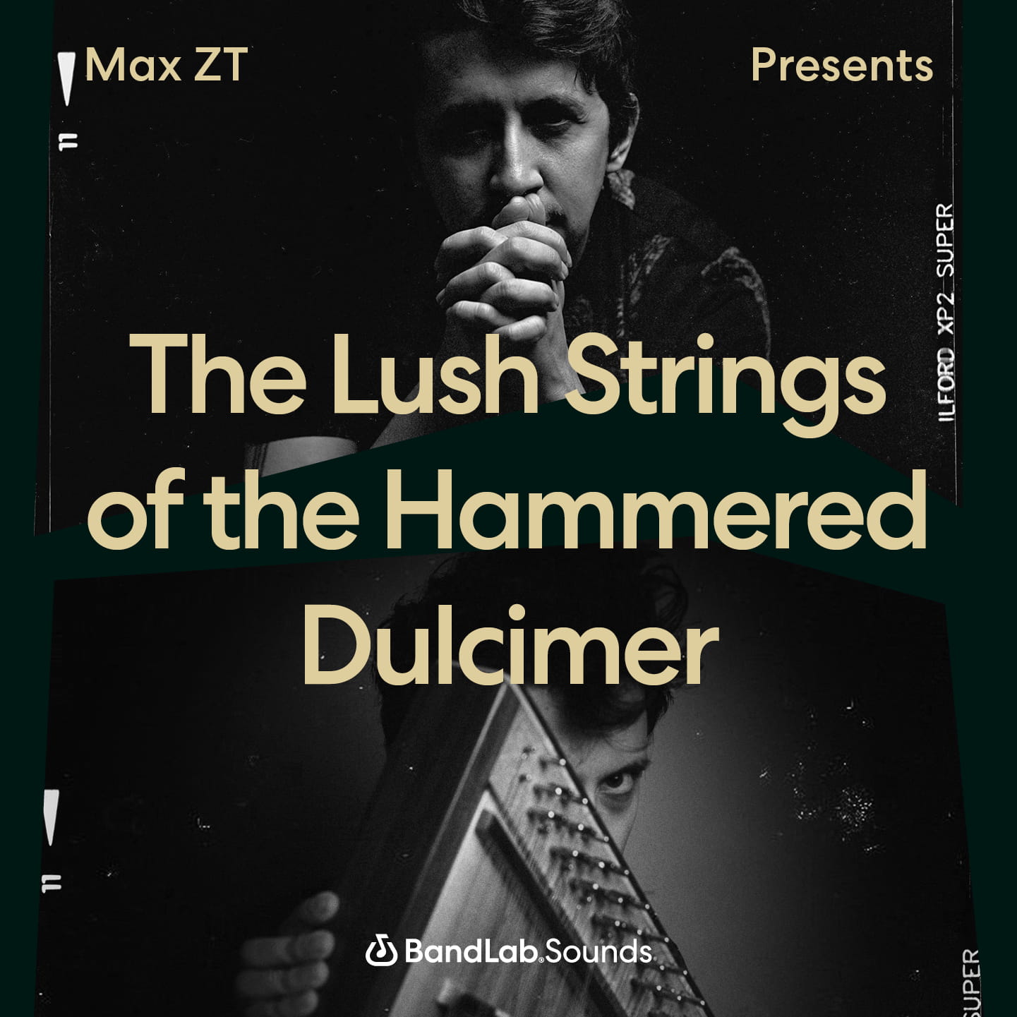 Max ZT Lush Hammered Dulcimer; An Introduction BandLab Sounds
